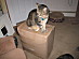 View full size picture