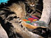 View full size picture