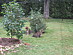 View full size picture