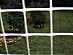 View full size picture