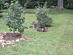 View full size picture