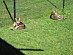 View full size picture