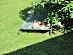 View full size picture