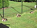 View full size picture