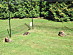 View full size picture