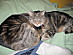 View full size picture