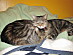 View full size picture