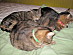 View full size picture