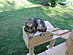 View full size picture