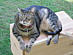 View full size picture