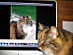 View full size picture