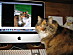 View full size picture
