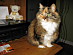 View full size picture