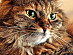 View full size picture