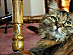 View full size picture