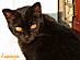 View full size picture
