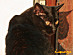 View full size picture