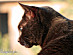 View full size picture