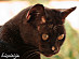 View full size picture