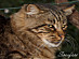 View full size picture
