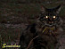 View full size picture