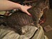 View full size picture