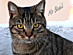 View full size picture