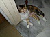 View full size picture
