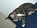 View full size picture
