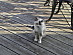 View full size picture