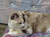 View full size picture