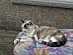 View full size picture