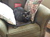 View full size picture
