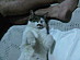 View full size picture