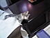 View full size picture