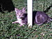 View full size picture