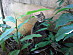 View full size picture