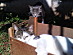 View full size picture