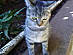 View full size picture