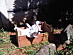 View full size picture