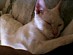 View full size picture