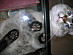 View full size picture