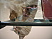 View full size picture
