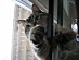 View full size picture