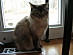 View full size picture