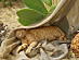 View full size picture