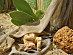 View full size picture