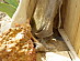 View full size picture