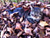 View full size picture