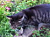 View full size picture